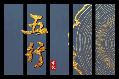 八字参数解读 排盘问真 命测八字 华易六爻排盘 算命运运势